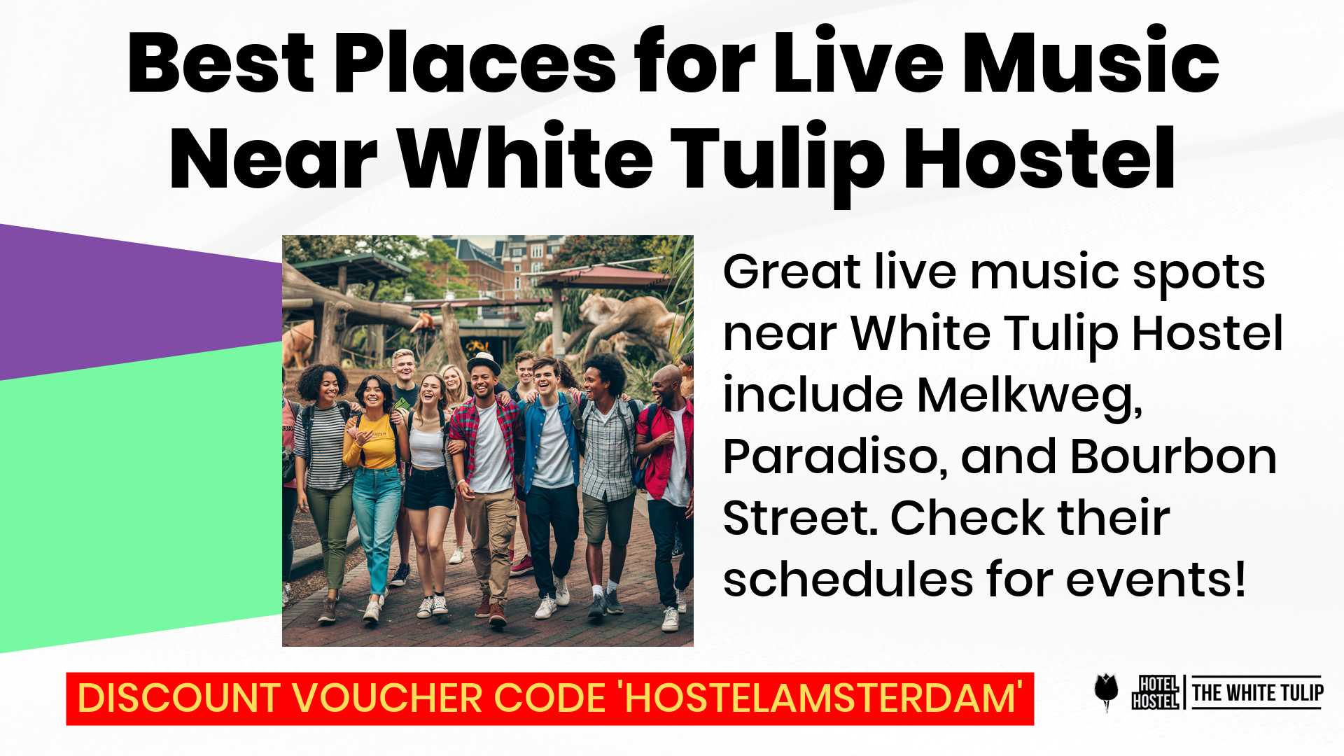 Best Places for Live Music Near White Tulip Hostel